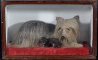 Lot 312 - An early 20th Century taxidermy diorama of a...