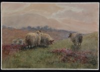Lot 1572 - John Valentine - sheep on a fell at sunset,...