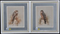 Lot 1683 - Andrew Alexander - ''Male Merlin'' and...