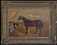 Lot 1759 - **** Pepper - a portrait of a bay horse in a...