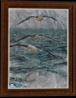 Lot 1180 - A*** G*** Storey - seagulls in flight, signed...