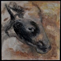 Lot 1281 - Sue Moffitt - study o a cow's head, mixed...