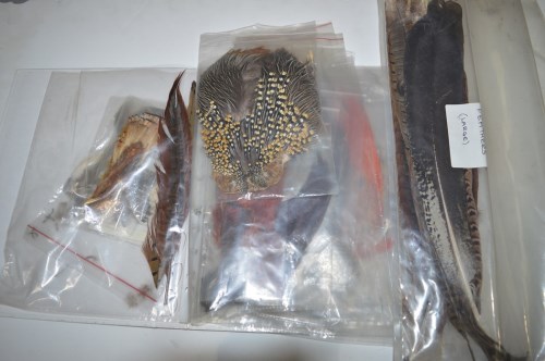 Lot 175 - A collection of fly tying feathers and capes,...