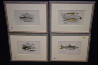 Lot 369 - F*** Lydon - Studies of fish: dace, gudgeon,...