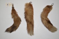 Lot 281 - Three silver mounted fox tails inscribed;...