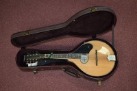 Lot 1534 - An Ashbury mandolin, Model No. GR-3124N, 67cms...