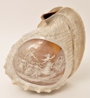 Lot 243 - A 19th Century conch shell, with carved cameo...