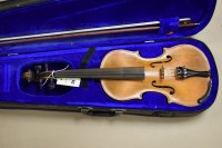 Lot 370 - An early 20th Century violin, probably German,...