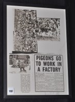 Lot 1197 - Jamie Reid - ''Pigeons go to work in a factory'...