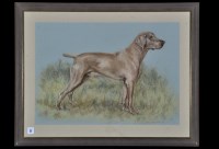 Lot 27 - Mary Browning - a portrait of a hound, signed...