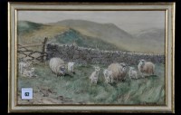 Lot 62 - John Valentine - Border country sheep, signed,...
