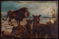 Lot 253 - George Brownlow - a pride of lions observing a...