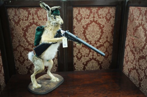 Lot 66 - An amusing taxidermy hare dressed in a...