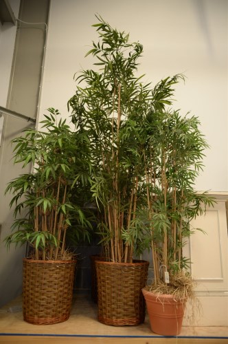 Lot 178 - A collection of five imitation bamboo plants...