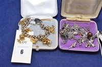 Lot 6 - Two charm bracelets and charms.