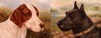 Lot 355 - Portraits of a terrier and a hound.