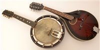 Lot 40 - Banjolele cased/skylark mandolin