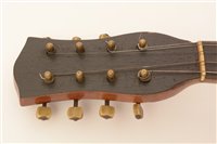 Lot 40 - Banjolele cased/skylark mandolin