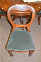 Lot 629 - Four balloon-back chairs