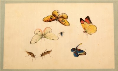 Lot 32 - Three 19th Century Chinese albums of pith paper watercolour and gouache paintings.