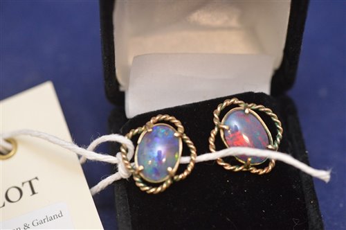Lot 342 - Opal earrings
