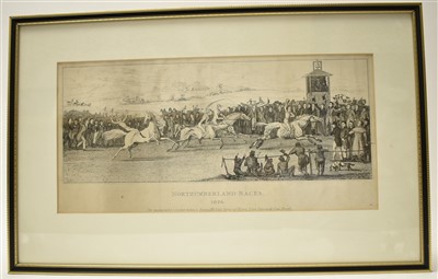 Lot 317 - 1826 Alnwick Election engraving