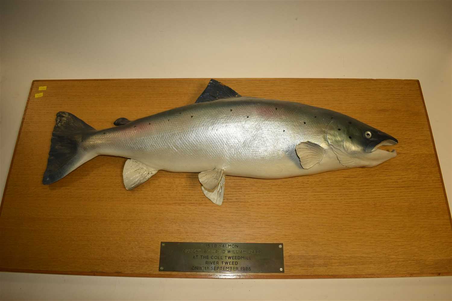Lot 223 - Taxidermy salmon