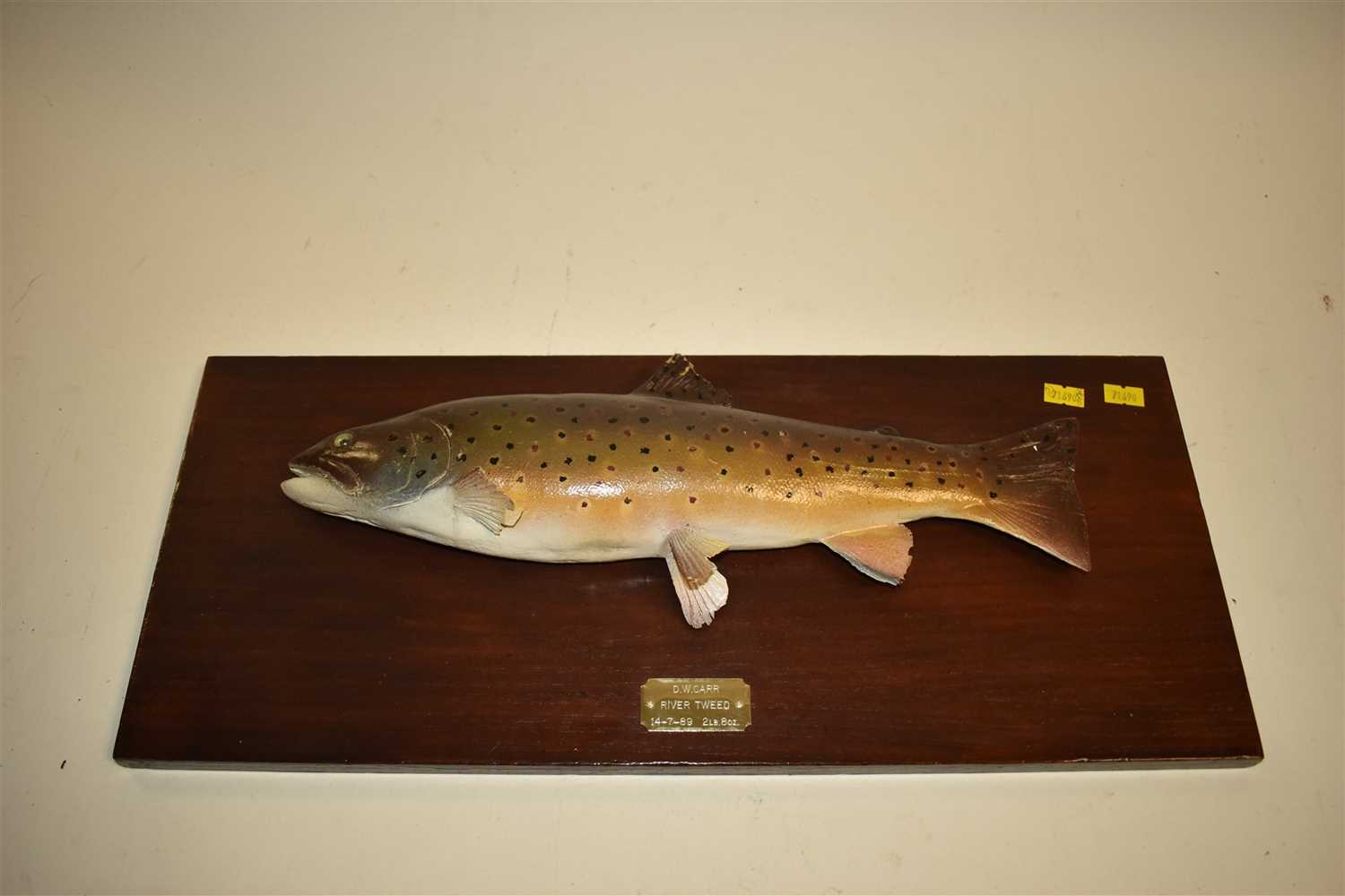 Lot 225 - Two taxidermy trout