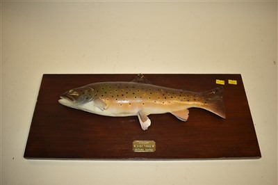 Lot 225 - Two taxidermy trout