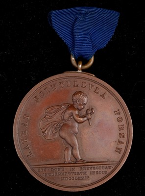 Lot 1819 - Royal Humane Society medal
