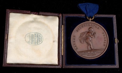 Lot 1819 - Royal Humane Society medal