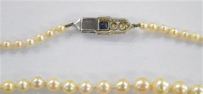 Lot 71 - Pearl Necklace