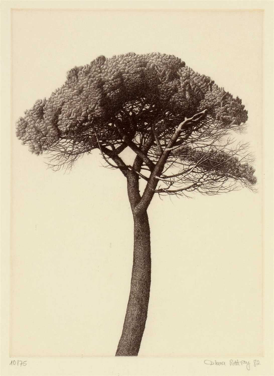 Lot 1651 - Diana Rattray - print.