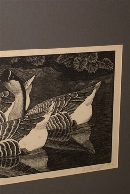 Lot 634 - Charles Frederick Tunnicliffe - print.