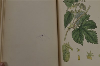 Lot 120 - Sowerby's English Botany