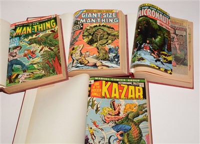 Lot 1315 - Lord Of The Hidden Jungle Ka-Zar