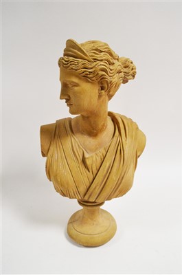 Lot 1015 - Classical bust