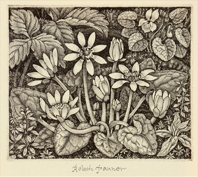 Lot 1031 - Robin Tanner - etching.