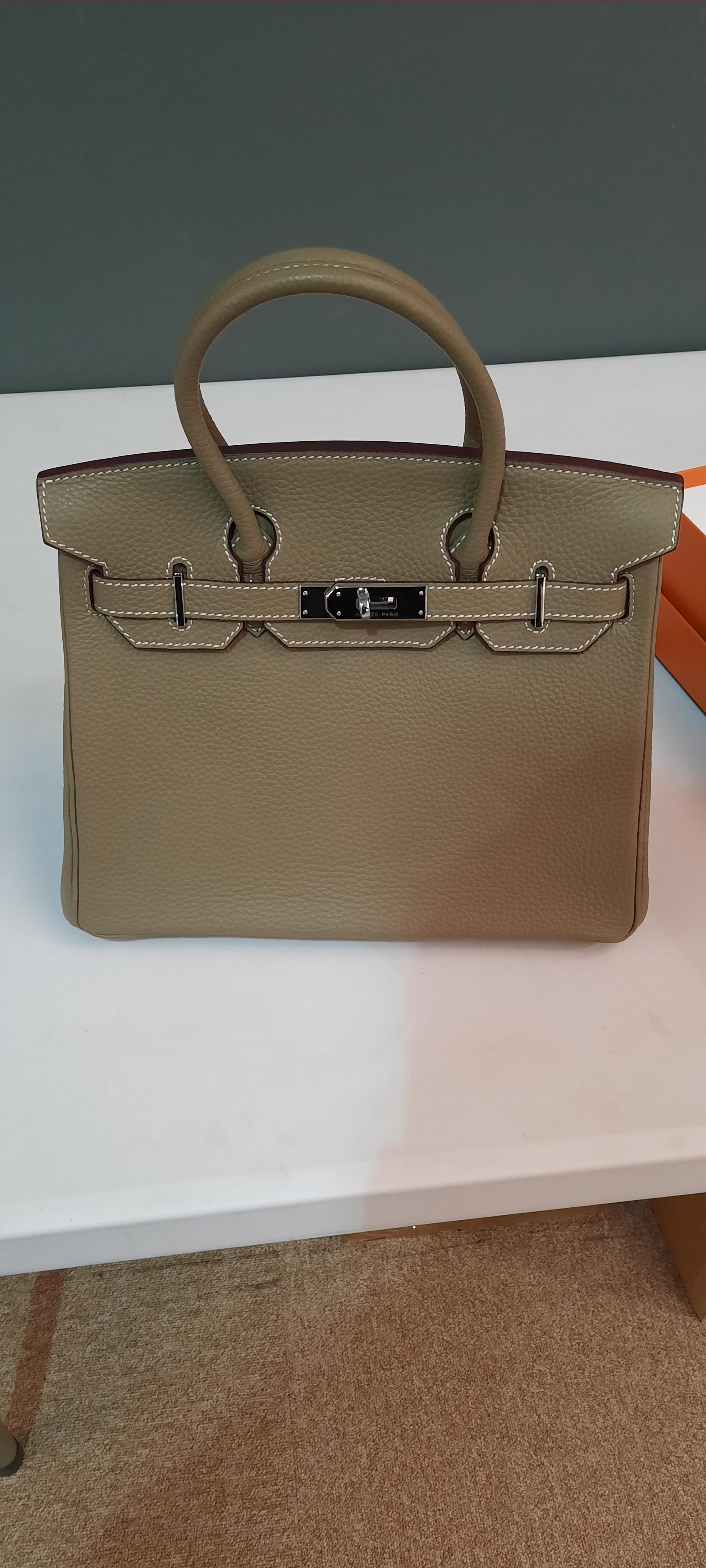Hermes Birkin bag 30 Trench Clemence leather Silver hardware