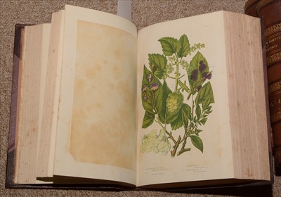 Lot 872 - Plants, Grasses, Sedges & Ferns Books.
