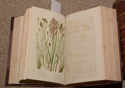 Lot 872 - Plants, Grasses, Sedges & Ferns Books.
