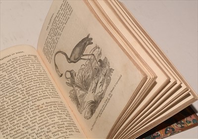 Lot 974 - The Library Of Entertaining Knowledge: Architecture Of Birds.