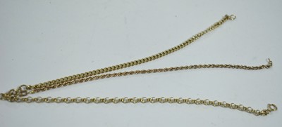 Lot 98 - Gold chains