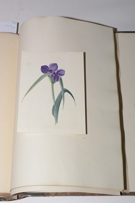 Lot 547 - An album of Prints and Watercolours.