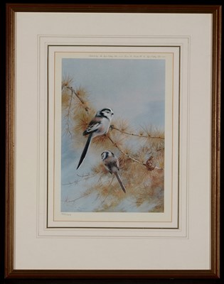 Lot 1201 - After Archibald Thorburn - birds on a bough,...