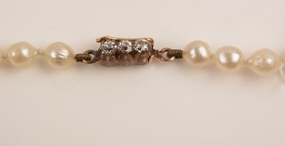 Lot 186 - A pearl necklace