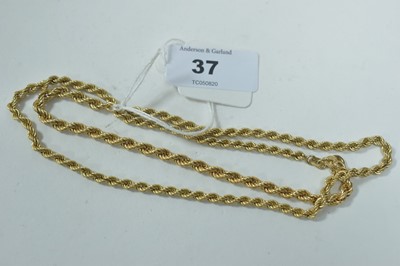 Lot 37 - Gold necklace and bracelet