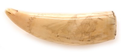 Lot 763 - 19th Century Scrimshaw whale tooth