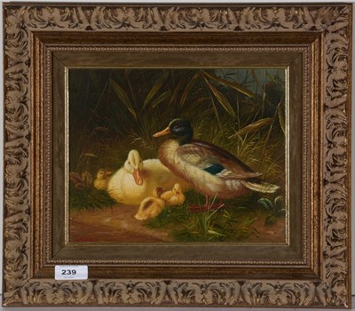 Lot 239 - * Francia - oil.