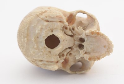 Lot 817 - A rare carved bone skull